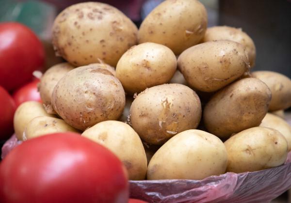 Продуктові ярмарки у Києві 20-23 травня: адреси