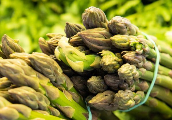 Продуктові ярмарки у Києві 27-30 травня: адреси