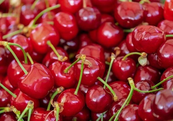 Продуктові ярмарки у Києві 5 – 6 липня: адреси