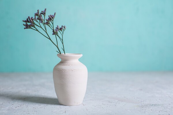 Майстер-клас з гончарства: фото 2 організаторів заходу.