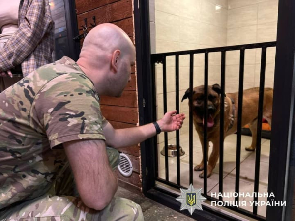Історія столичного пса Міші продовжується: чому поліція прийшла перевіряти центр для тварин