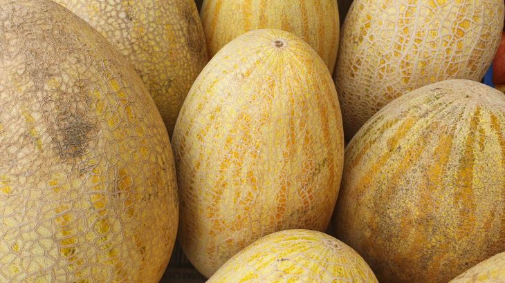 Чому диня не терпить сусідства з іншими фруктами: правило 2 годин, яке врятує вас від отруєння дыня