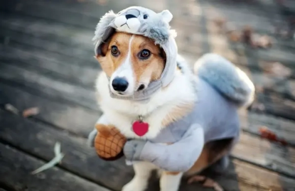 Україну 21 жовтня накриє холодний атмосферний фронт: де очікувати дощі та заморозки