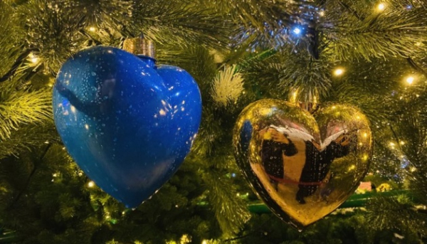 Новорічну ялинку у Києві встановлять на Софійській площі за кошти меценатів