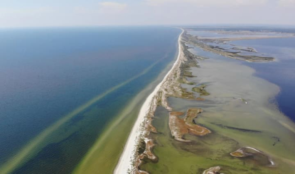 Кінбурнська коса зруйнована: екологи та військові повідомляють про катастрофічні наслідки
