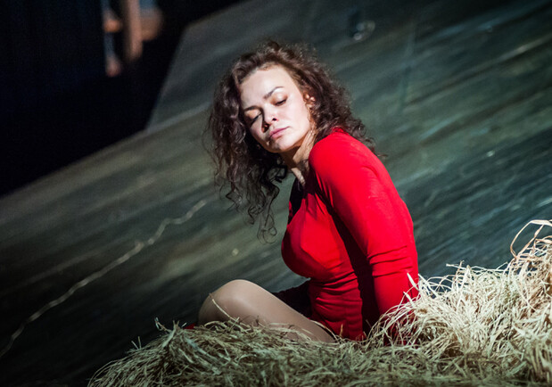 Зікрадене щастя – Київські Театри на Vgorode.ua