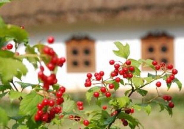 КАЛИНА: Святковий виступ – Київські концерти на Vgorode.ua