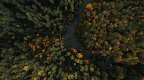 Земля не така проста: чому наші передбачення про глобальне потепління неточні