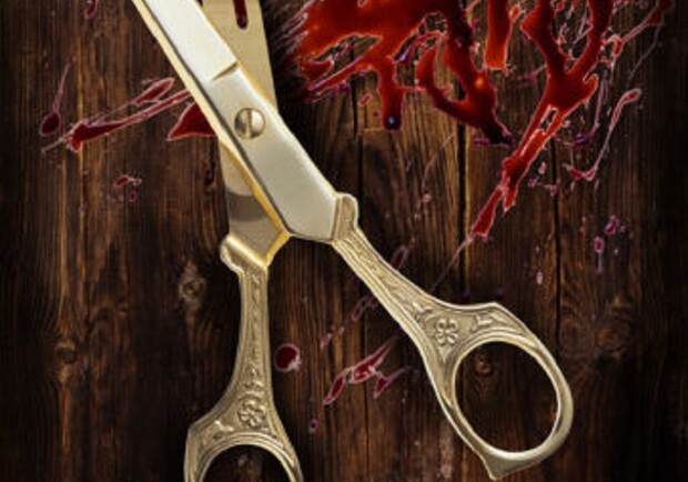 Ножиці: Київські театри на Vgorode.ua