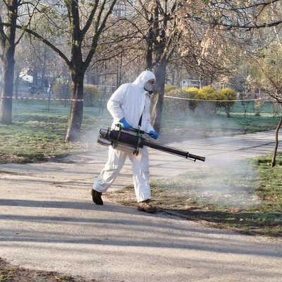 12 випадків хвороби Лайма у Києві від початку року: як захиститись від укусу кліща