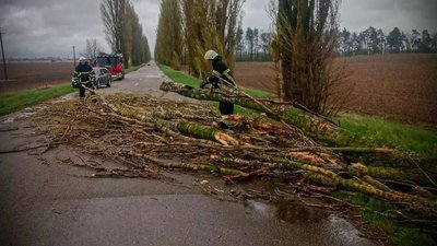 Київщина оговтується від шторму: майже 60 тисяч домівок знеструмлено.