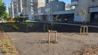 На місці знесених 25 кіосків створили сквер: у Києві продовжується прибирання нелегальних тимчасових споруд
