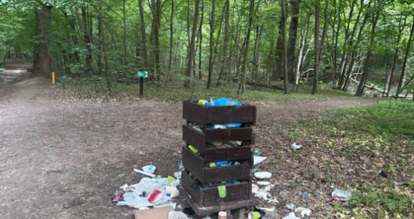 У Голосіївському лісі стежку забруднили відходами