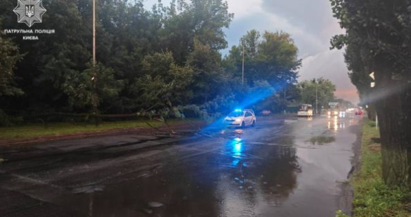 Київські дерева падають: пересування певними вулицями ускладнене через негоду 5