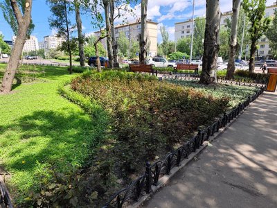 У Києві створюють "кишенькові" парки: який їх вигляд і де вони вже з'явилися 6 У Києві створюють "кишенькові" парки: який їх вигляд і де вони вже з'явилися 6