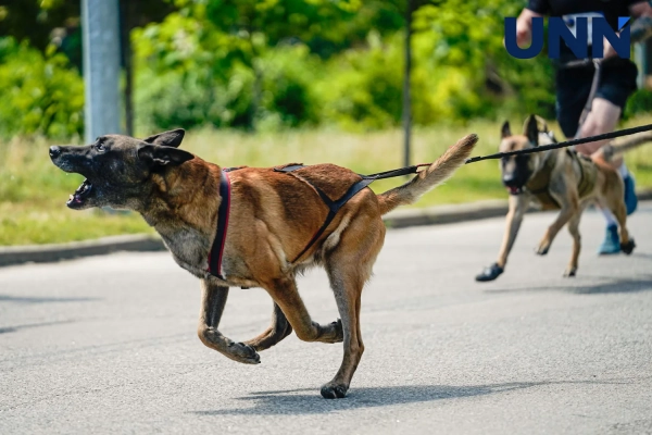 Перший військовий забіг собак K9 DRYLAND CANICROSS пройшов у Києві – фоторепортаж 15