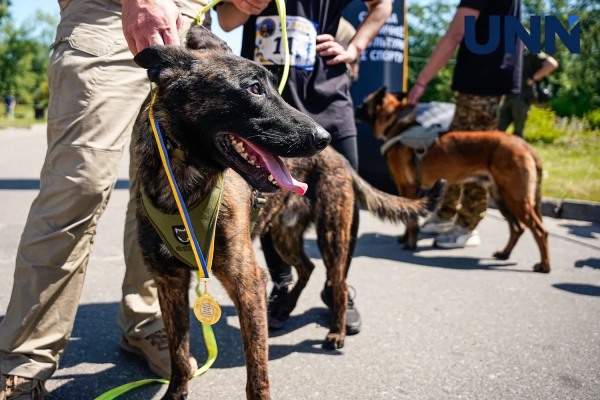 Перший військовий забіг собак K9 DRYLAND CANICROSS пройшов у Києві – фоторепортаж 17