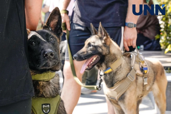Перший військовий забіг собак K9 DRYLAND CANICROSS пройшов у Києві – фоторепортаж 13