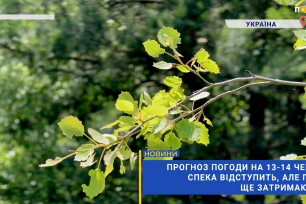 Головна 15 Погода на Київщині 13-14 червня: тепло спаде, але зливи триватимуть (ВІДЕО)