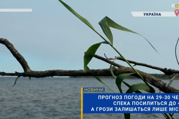 Спека на Київщині до +38°C, грози локальні: прогноз на кінець червня (ВІДЕО)