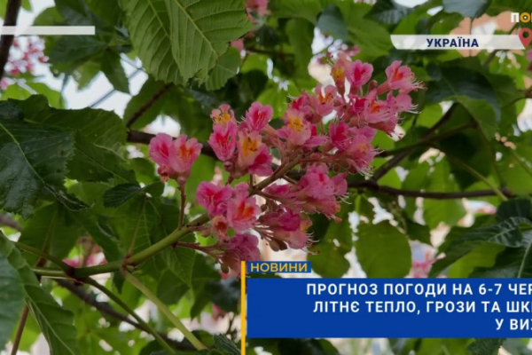 Прогноз на 6-7 червня: тепло, зливи та вітри на Київщині (ВІДЕО)