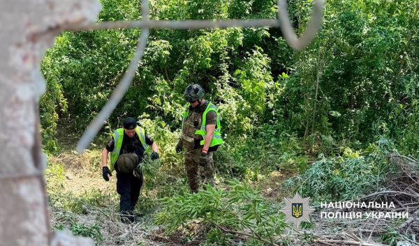 На Оболоні знайшли фрагменти російської ракети Х-69 і 12 суббоєприпасів касетного типу до неї. 8 На Оболоні знайшли фрагменти російської ракети Х-69 і 12 суббоєприпасів касетного типу до неї. 8